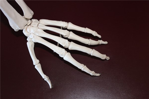 夢到死人骨預示著什麼_周公解夢