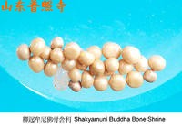 什麼是舍利子？(4)