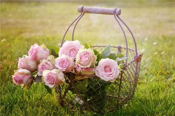 女人夢見自己採花_周公解夢