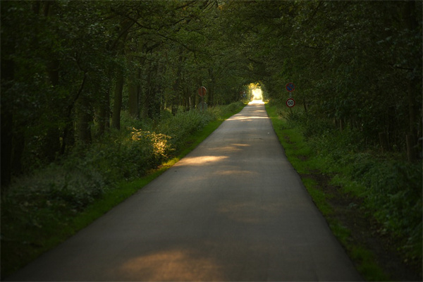 夢到了不見了會是什麼預兆_周公解夢
