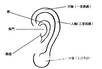 耳朵面相算命圖解