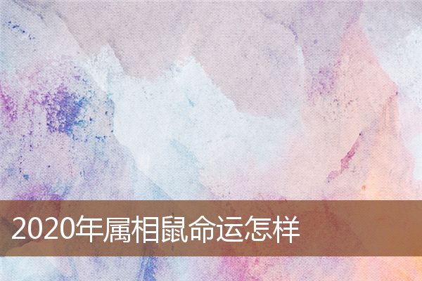 2020年屬相鼠命運怎樣_十二生肖