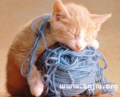 職場中情緒易失控的星座_十二星座