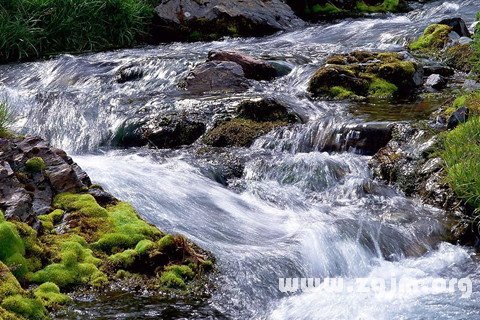 夢見溪水