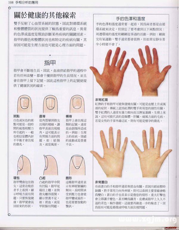 《手相學習百科》：手相看健康
