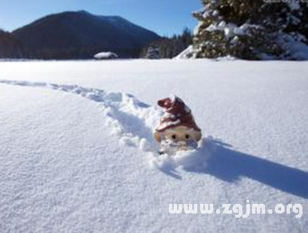 夢見厚厚的大雪