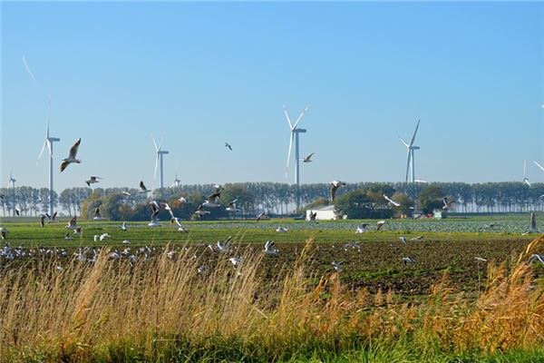 夢到了北風是什麼意思？_周公解夢