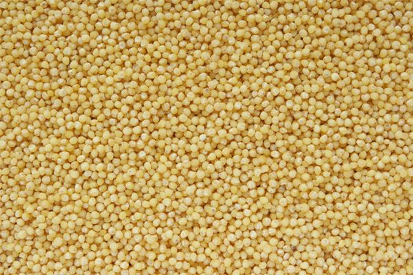 夢見黃黃的小米_周公解夢