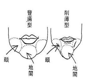 女人面相算命圖解(15)