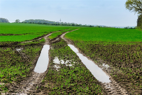 夢到路上都是泥有什麼含義_周公解夢