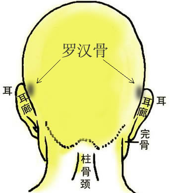 骨相大全——羅漢骨_看相大全