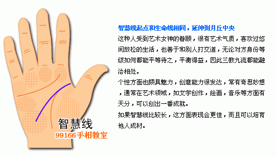 手相圖解大全：5、智慧線看個性_看相大全