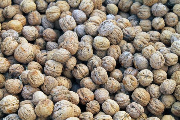 夢見一堆乾核桃_周公解夢