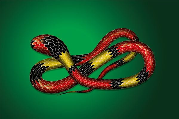 夢到小蛇在身上是什麼意思?_周公解夢