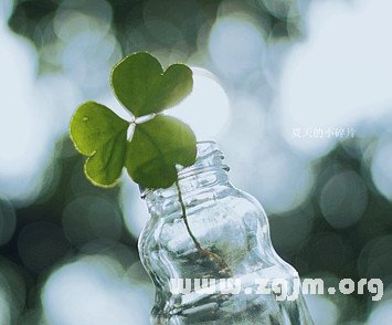 利益衝突時，最終能獲勝的星座TOP3_十二星座