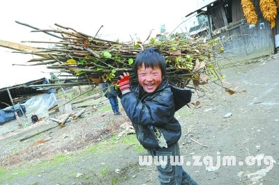 夢見上山撿柴