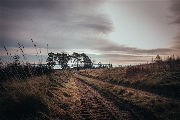 夢見雨路意味著什麼_周公解夢