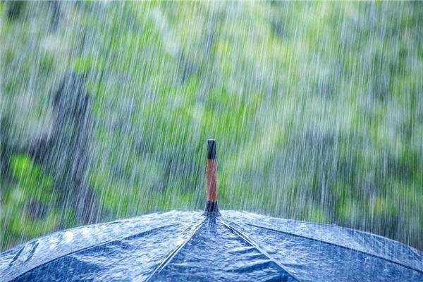 夢見下雨