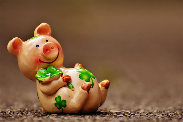 2019年屬豬幾月生的最好_十二生肖