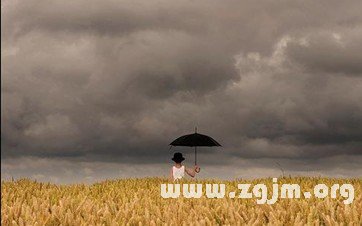 12星座誰活的最累_十二星座