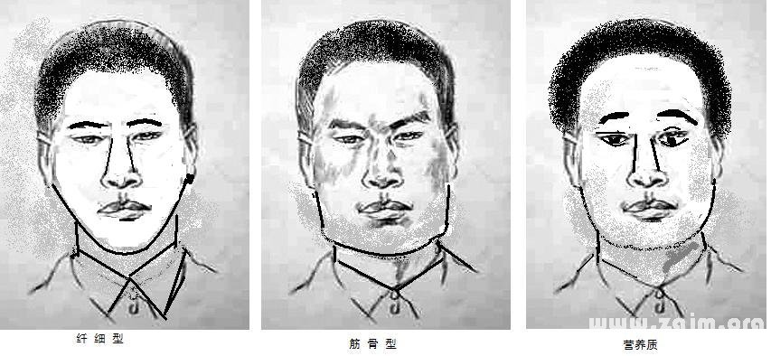 臉的三性質