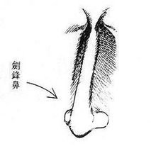 鼻削如刀克夫相