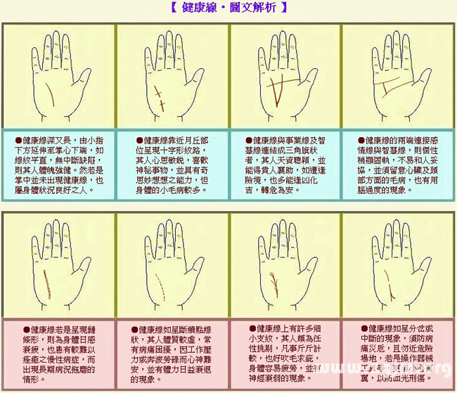 成濤掌相健康線圖解