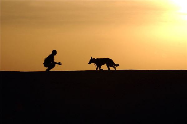 夢見狗咬左腿_周公解夢