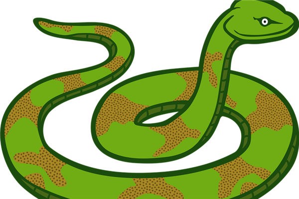 夢到蛇跟著我怎麼回事_周公解夢