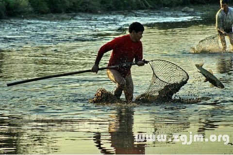 夢見逮魚