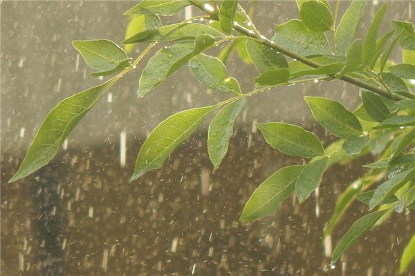 女人夢見下雨是啥意思_周公解夢