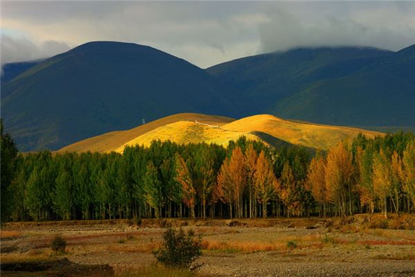 孕婦夢見山_周公解夢 孕婦夢見山是什麼意思_孕婦夢見山好不好_周公解夢官網