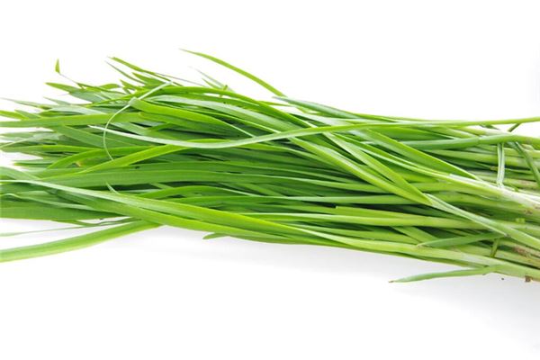 女人夢見自己買韭菜_周公解夢