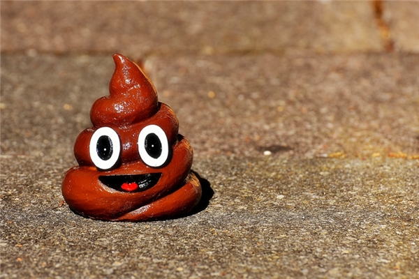 夢到大便屎怎麼說_周公解夢