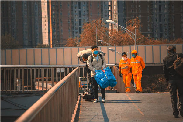 夢到了樹林失火怎么說_周公解夢官網