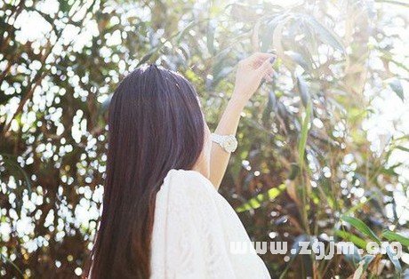 職場中有老闆命的星座_十二星座