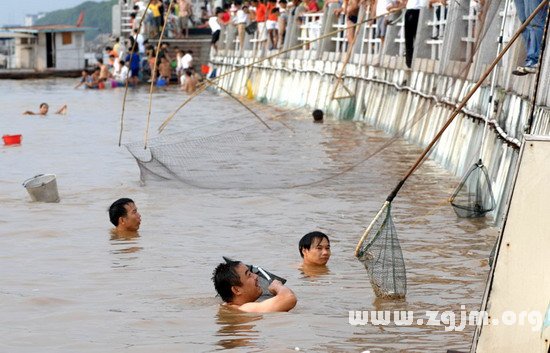 夢見用網撈魚