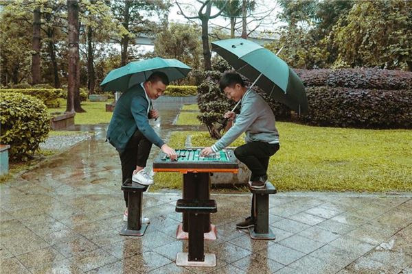 夢見下象棋_周公解夢
