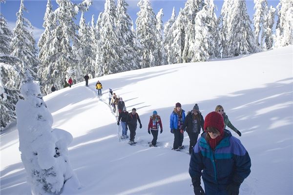 夢見在雪地里玩耍_周公解夢