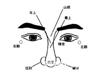 鼻子顴骨面相圖解