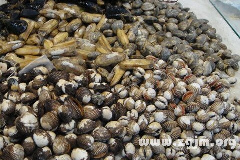 夢見海鮮貝殼