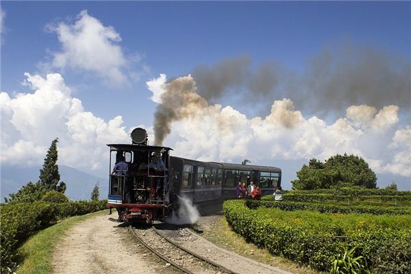 夢見坐火車沒趕上_周公解夢