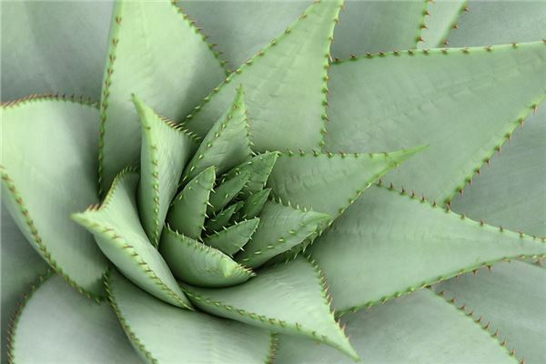 夢見手指扎刺啥意思_周公解夢