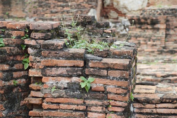 夢見泥坯磚_周公解夢