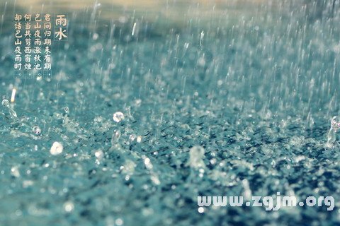 夢見雨水