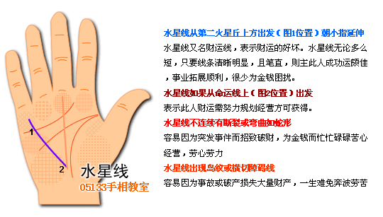 各類掌紋支線圖解_看相大全