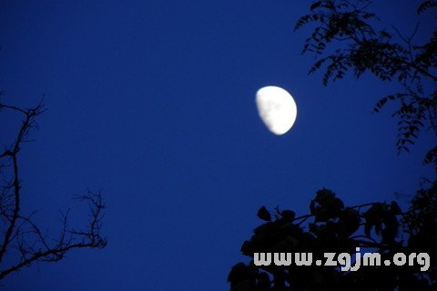 夢見弧型月亮高掛天空