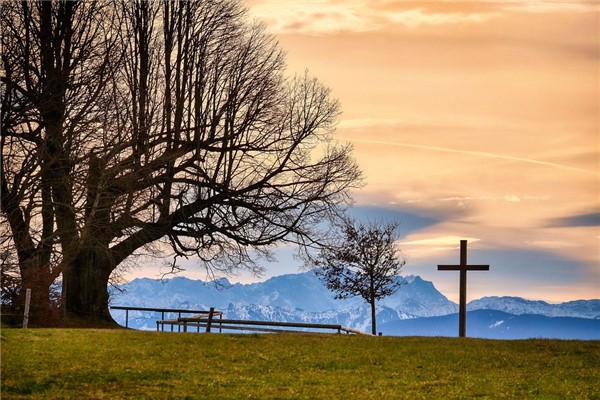 夢到了樹叉是咋回事_周公解夢