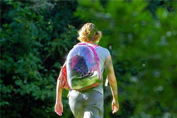 夢到了小時候上學是好是壞_周公解夢