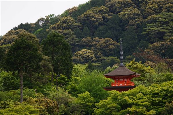 夢見廟是什麼預兆_周公解夢